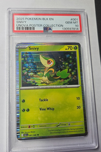 Snivy graded PSA 10 for sale on eBay