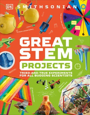 Great STEM Projects (DK Activity Lab) by DK