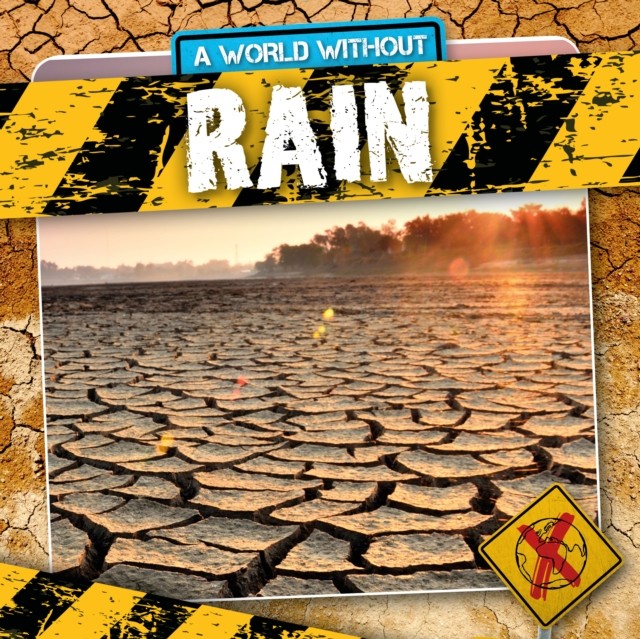 Rain by William Anthony PAPERBACK 9781839271380