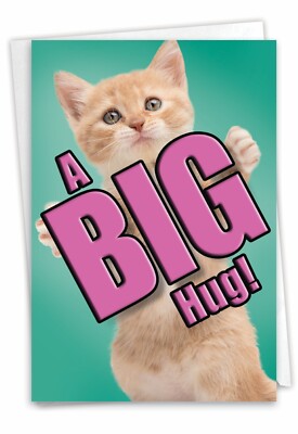 1  Miss You Card with Envelope - Cat A Big Hug C6614GMYG