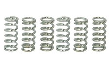 Un jeu de ressorts d'embrayage (renforcés) pour HONDA CB, CM, CMX, CR, FT, VT