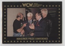 1991 Championship Marketing WCW The Four Horsemen Ric Flair Arn Anderson 11gl