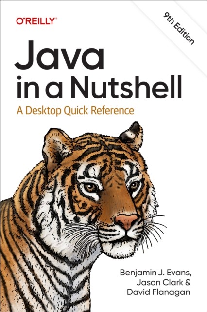Java In A Nutshell