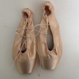 Gaynor Minden Pointe Shoes | eBay