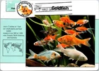 Dr Jim Stamps Maximum Card Goldfish Forever Fdc