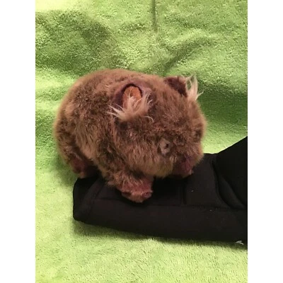 minkplush wombat