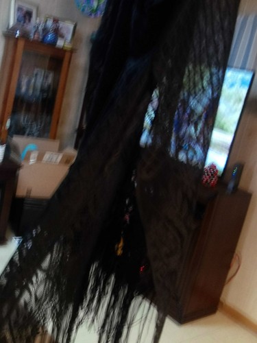 BLACK SHEER PONCHO STYLE SHAWL W/ FRINGE & DESIGN~BEACH COVER-UP~ONE SIZE~NEW - Picture 7 of 7