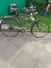 Gazelle Populair