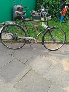 Gazelle Fahrrad Gebraucht | eBay.de