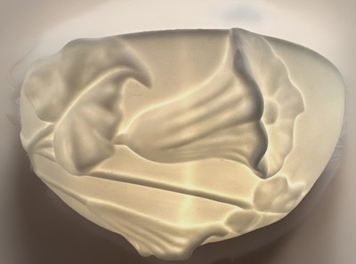 Ceramic Calla Lily Wall Sconce One Light with Embossed Calla Lilies Stunning
