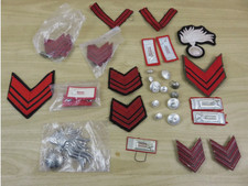 lotto di VECCHIE MOSTRINE IN DISUSO militari Esecito bottoni fregi distintivi da