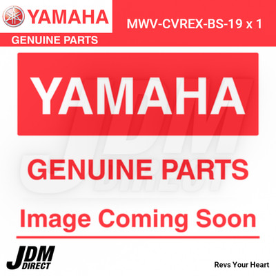NEU 2017 - 2021 YAMAHA EX WAVERUNNER PWC OEM VACU-HOLD COVER MWV-CVREX-BS-19