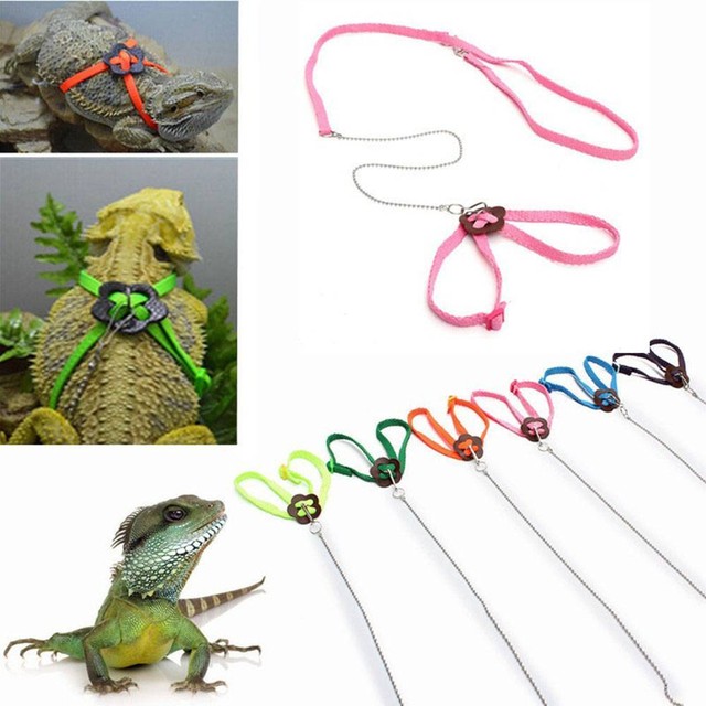 Crested Gecko Adjustable Reptile Leash For Lizards, Geckos