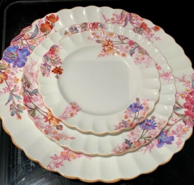 Vintage SET OF Plates Copeland Spode Chelsea Garden