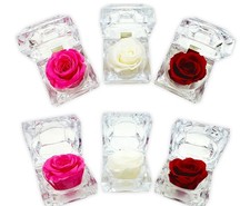 REAL PRESERVED ROSE KEEPSAKE