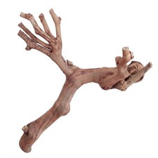 Natural Wood Branch Terrarium Decoration for Reptiles, Amphibians  Small Pets