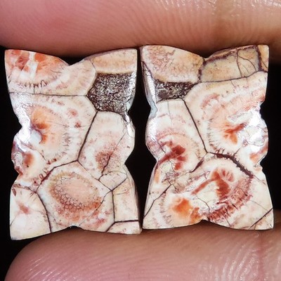 Natural Bird Eye Jasper Cabochon Paar Opak 21,90 Karat (13x19x4 mm) Neu