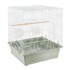 Vibrant Life Small Bird Cage with Perch, Plastic Hooded Cup  Tray for Parakeets