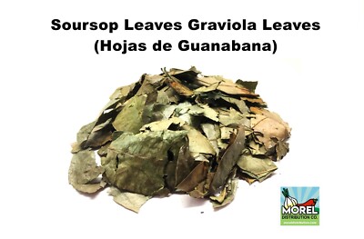 Dried Graviola Leaves, Dried Soursop Tea Leaves, Hojas de Guanabana 2 oz & 4 oz