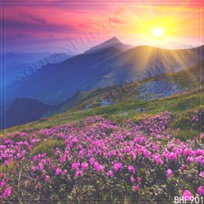 Spring 10'x10' Computer-painted Scenic Season Photo Background Backdrop BHF901