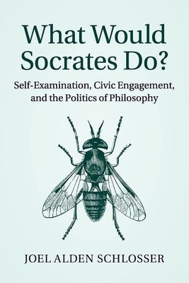 What Would Socrates Do?: Self-examination, Civic engagement, and the Politics of