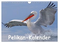 "Calendar 2027 · US Version · Pelican Calendar (Wall Calendar 2027 12\" × 8\" Lands"