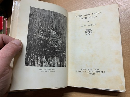 1933 "HERE AND THERE WITH BIRDS" 1ST ED ILLUSTRATED HARDBACK BOOK (P4) - Picture 5 of 21