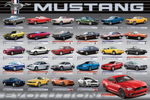 FORD MUSTANG 0th Anniversary EVOLUTION American Muscle Car Historia 4x3 POSTER mustang poster FORD MUSTANG 0th Anniversary EVOLUTION American Muscle Car Historia 4x3 POSTER