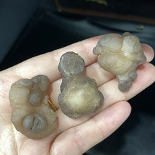 Bonsai Suiseki-Natural Gobi Agate Eyes Stone-Rare Stunning Viewing 63g M2212