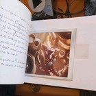 Bild 8 von 13