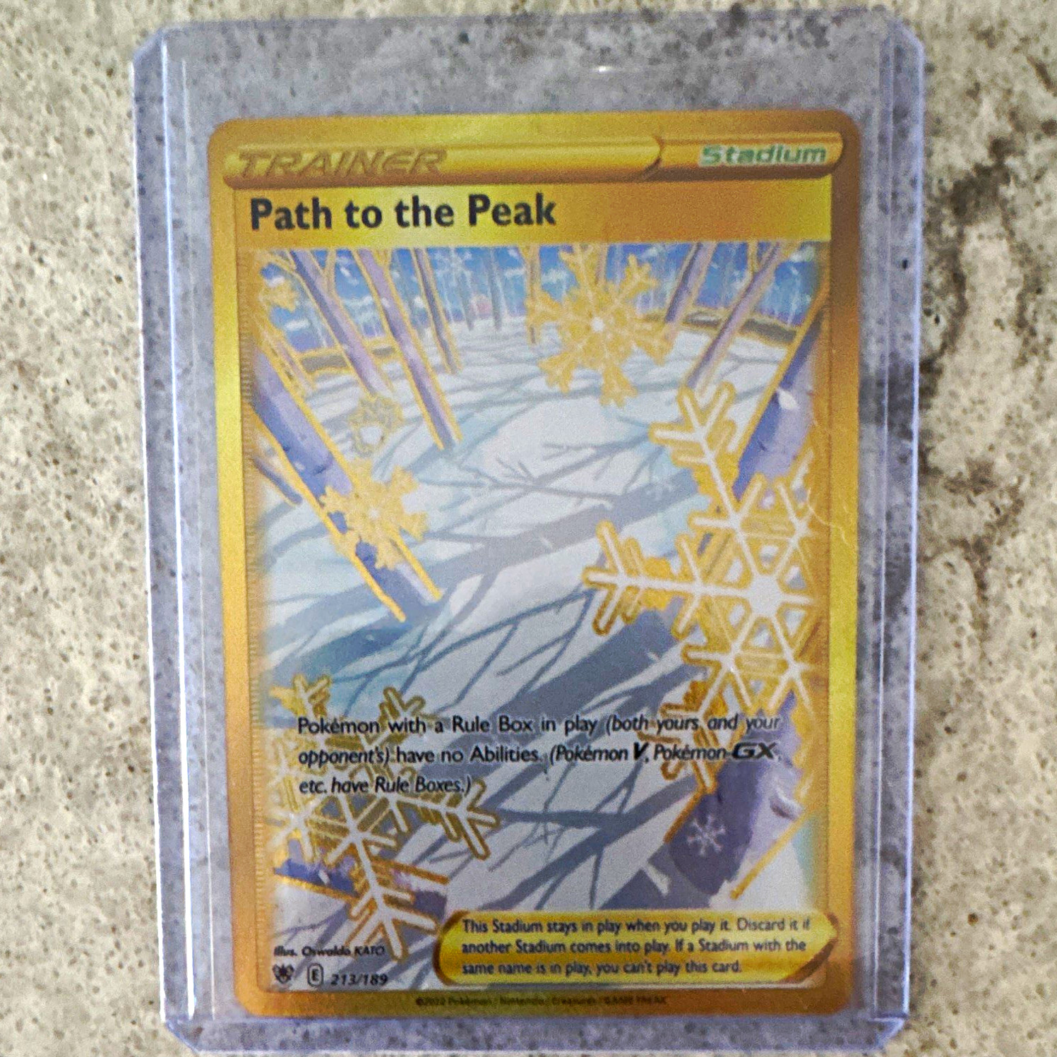 NM Path to the Peak 213/189 Secret Rare Astral Radiance Holo Pokemon Card