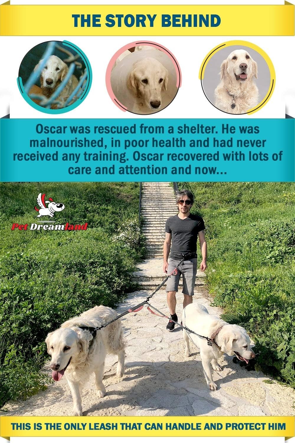 как выглядит Reflective Double Leash Coupler for Large Dogs  No-Tangle Design in Pink Grey фото