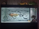 Foto 5 di 14