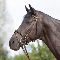 Kieffer Trensenzaum Ultrasoft - Braun - Pony Trense Zaumzeug Reiten Pferde Zaum