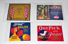 Set of 4 VTG ORIGINAL Crate Labels Gladiola, Gateway, El-West Delight, Our Pick