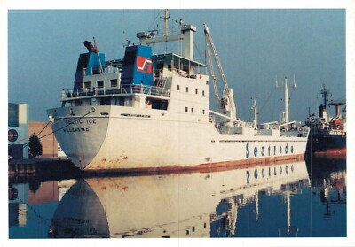 Nautica Celtic Ice 1979 Celtic Sun Shipping Seatrade Ship Vintage Postcard BS.11