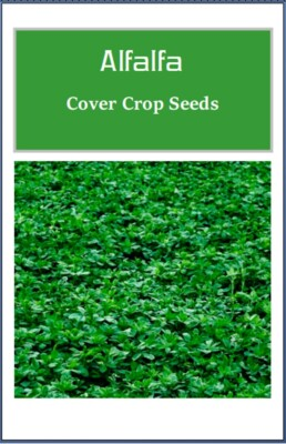 #ad Alfalfa Cover Crop Seeds: Non GMO Heirloom Garden Seeds $20.00
