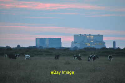 Photo 12x8 Sedgemoor : Cattle Grazing near Hinkley Point Steart Hinkley Po c2012