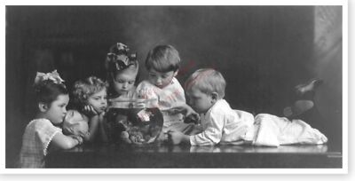 Victorian Americana Children Admiring Goldfish Bowl 8 X 16 Silver Halide Photo