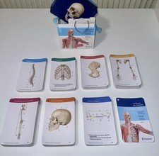Neuwertig 7. Auflage Prometheus Thieme Lernka...