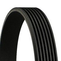 Continental Ctam 7PK1145 Keilrippenriemen