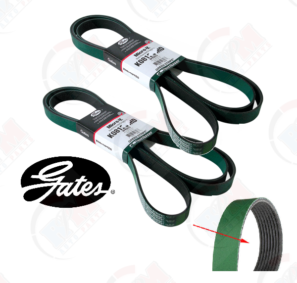 0307 Ford 6.0 6.0L Diesel Both Gates HD Serpentine Belts w/ DUAL