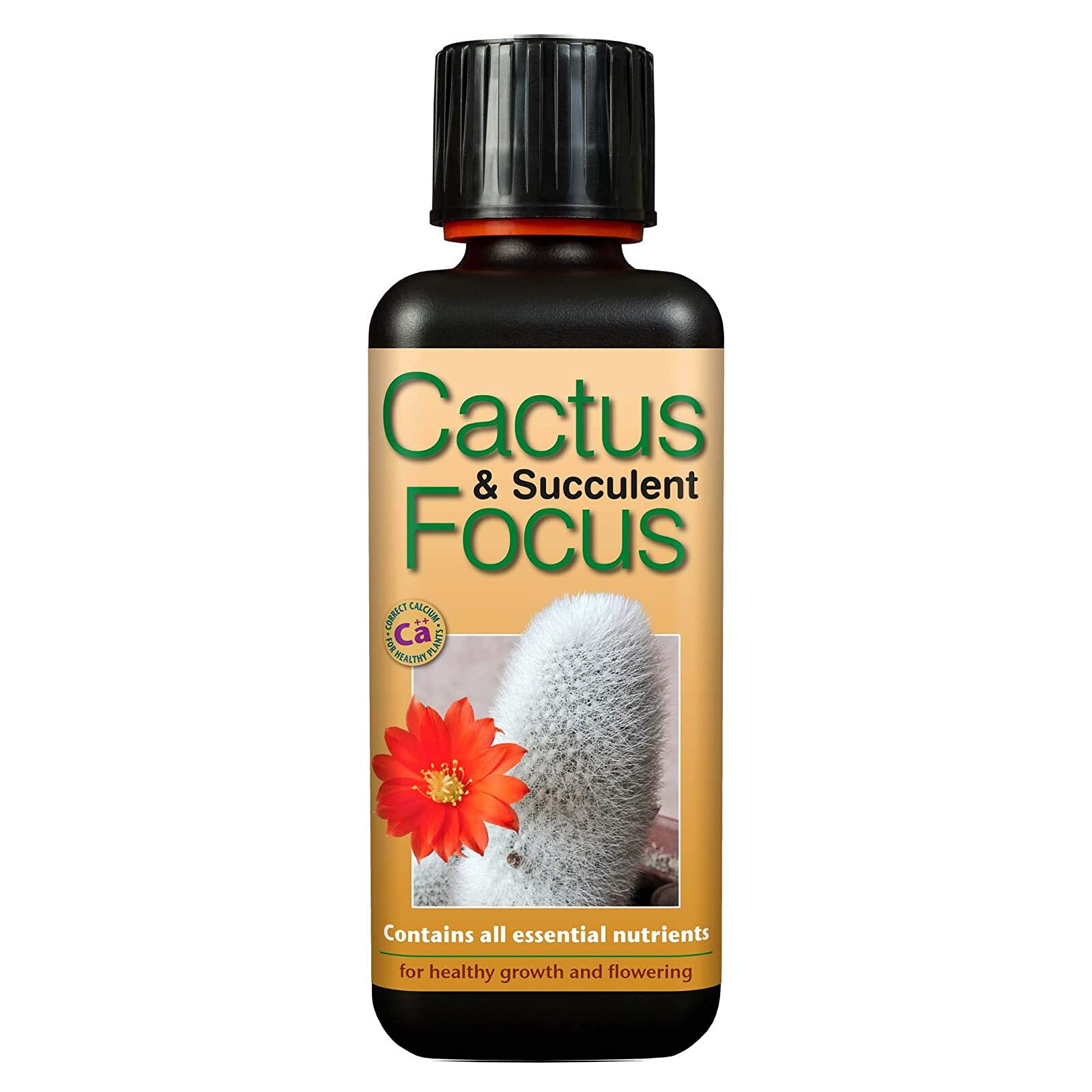 Cactus And Succulent Feed Plant Flower Food Focus 300ml Growth Technology