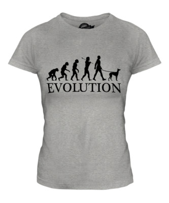 IBIZAN HOUND EVOLUTION OF MAN LADIES T-SHIRT TOP DOG LOVER GIFT WALKER WALKING