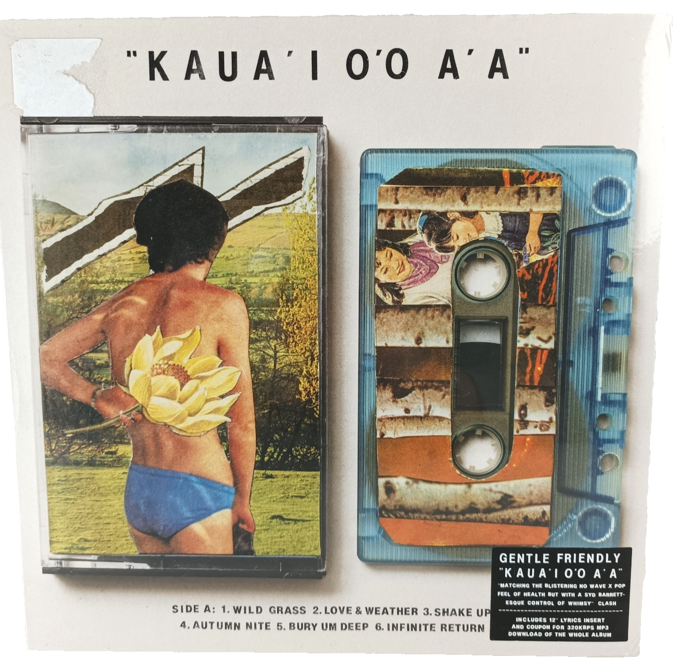 Gentle Friendly Kaua'i O'o A'a Record LP  2014 Rock Indie MP3 Download Coupon
