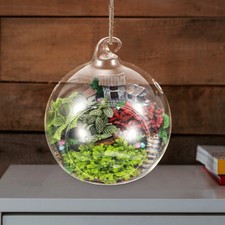 2 Pcs Glass Globe Hanging Terrarium Air Plant Planter For Home Decor