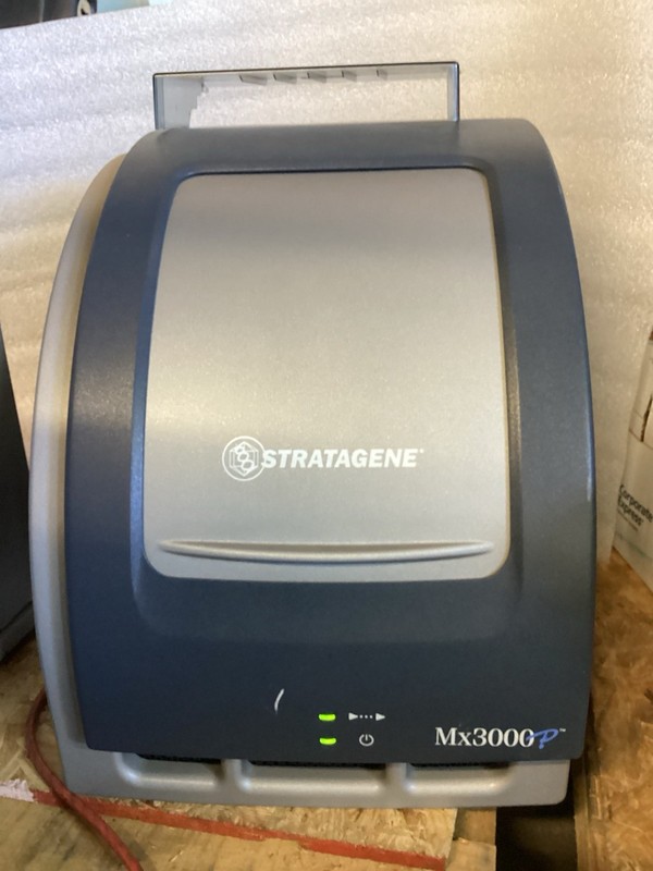 Stratagene Mx3000P Multiplex Quantitative PCR System