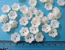 20 Ivory Daisy Flower Buttons 2 hole 15mm