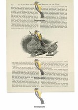 Vases (Eastern Design) For Cloisonne Email, Book Illustration (Print), 1892