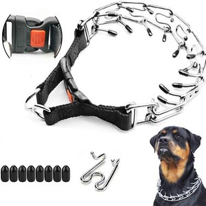 using a prong collar for training